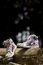 MT058W.webp